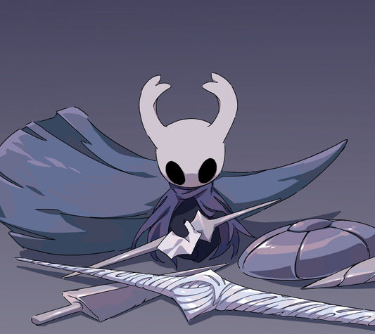 hollow knight costume