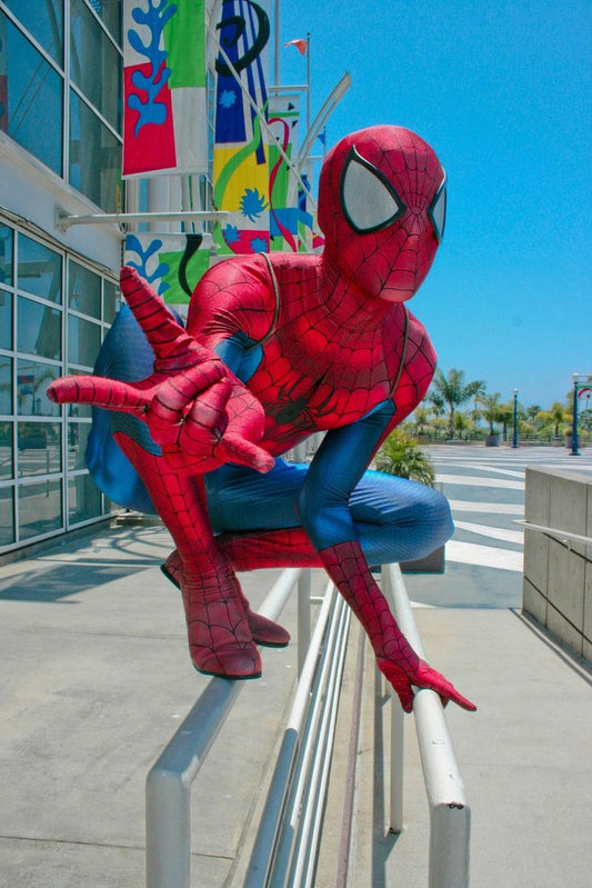 Spiderman Cosplay