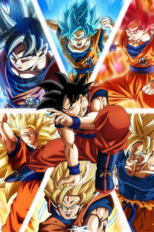 Dragon Ball Z Goku Costume