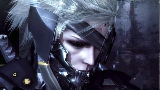 raiden mgrr